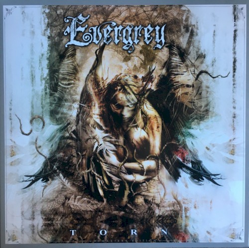 Evergrey - Torn
